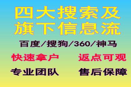 解析sem代运营公司经典案例：如何实现ROI最大化